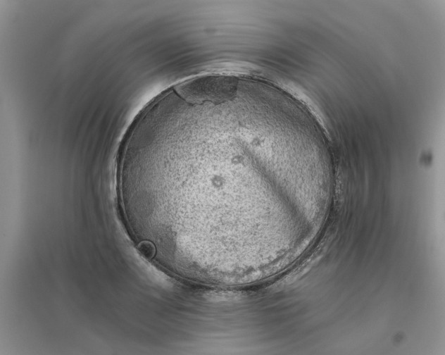 X0000096401083200802071555