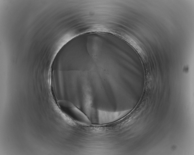 X0000096401084200802071555