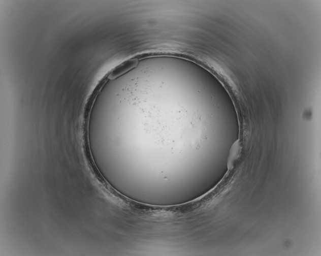 X0000096401085200802071555