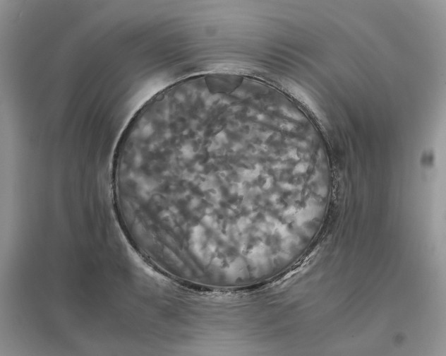 X0000096401087200802071555