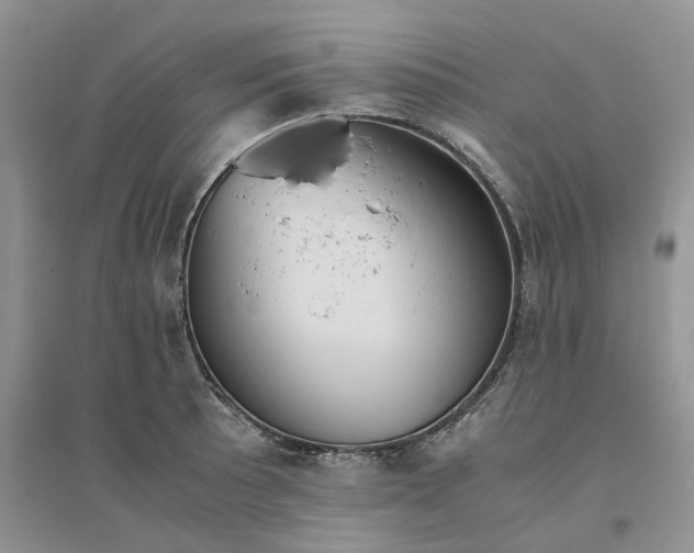 X0000096401089200802071555