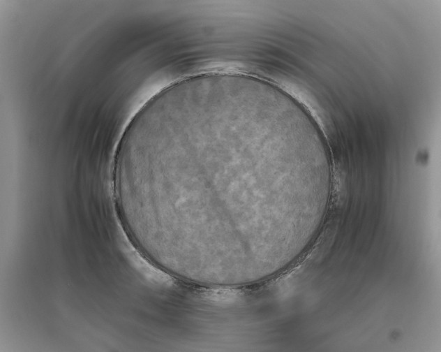 X0000096401090200802071555