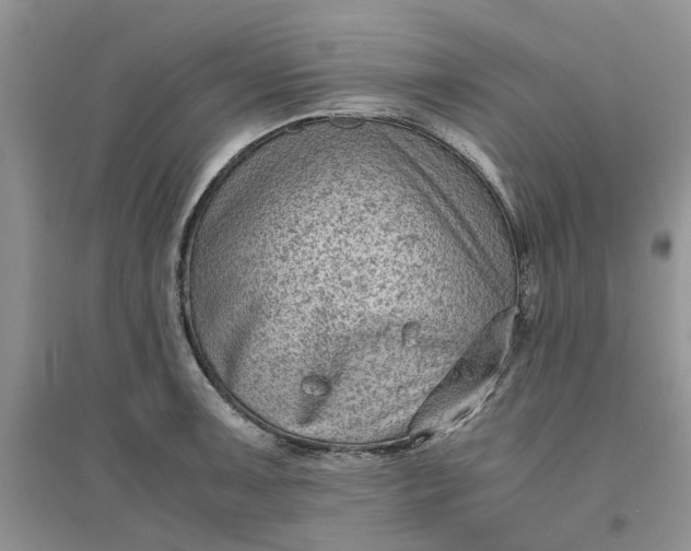 X0000096401091200802071555