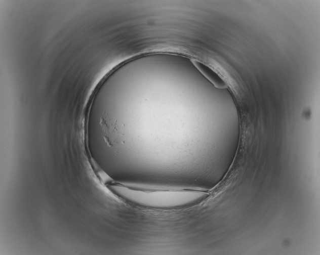 X0000096401092200802071555