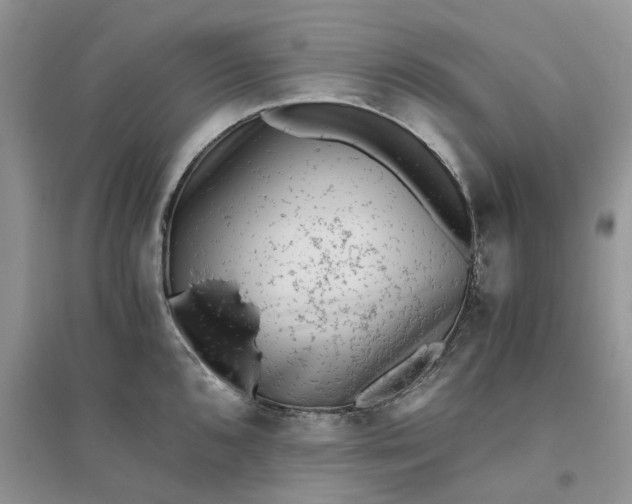 X0000096401096200802071555