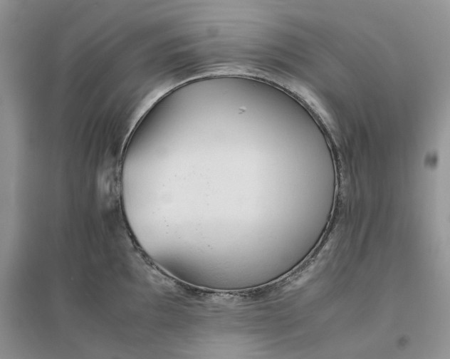 X0000096401097200802071555