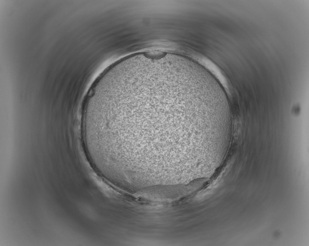 X0000096401099200802071555