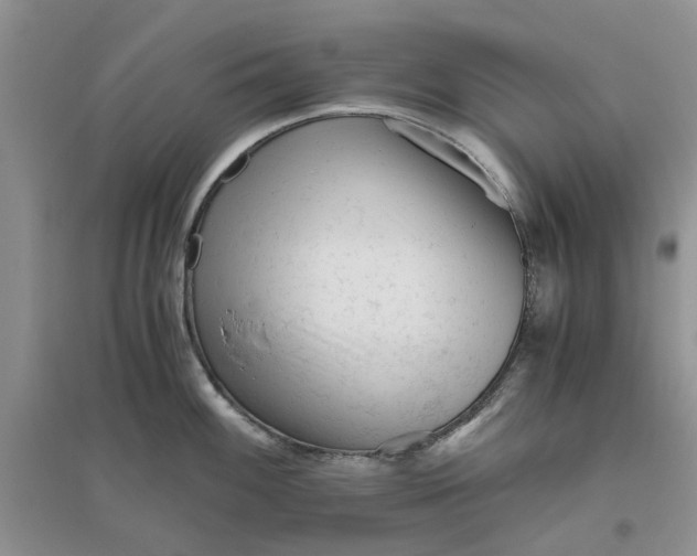 X0000096401100200802071555