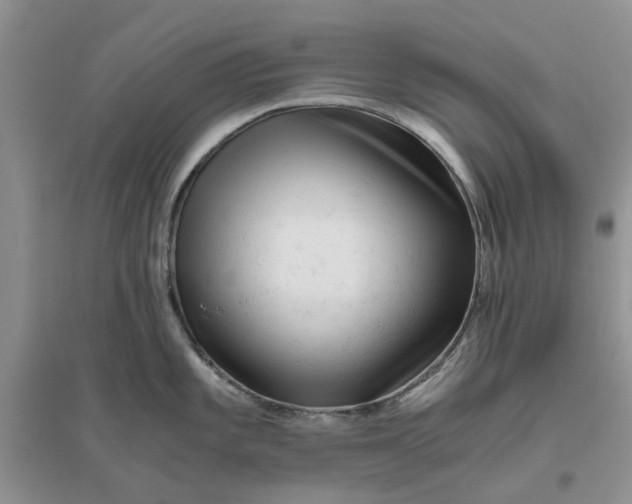 X0000096401101200802071555