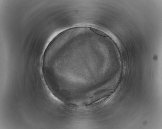 X0000096401102200802071555