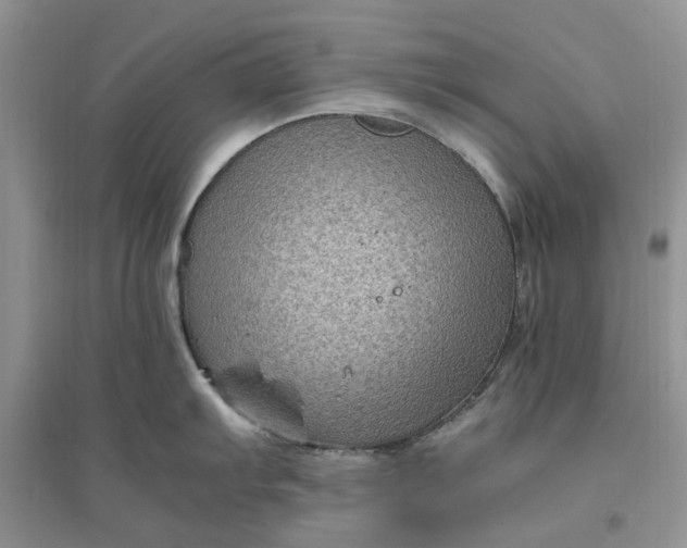 X0000096401103200802071555