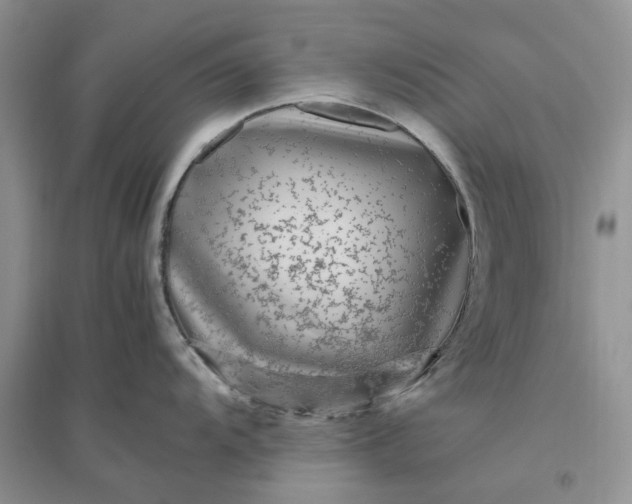 X0000096401104200802071555