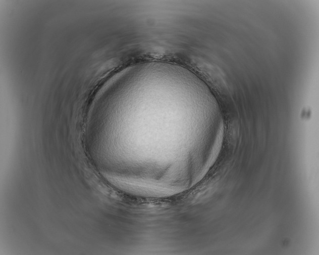 X0000096401105200802071554