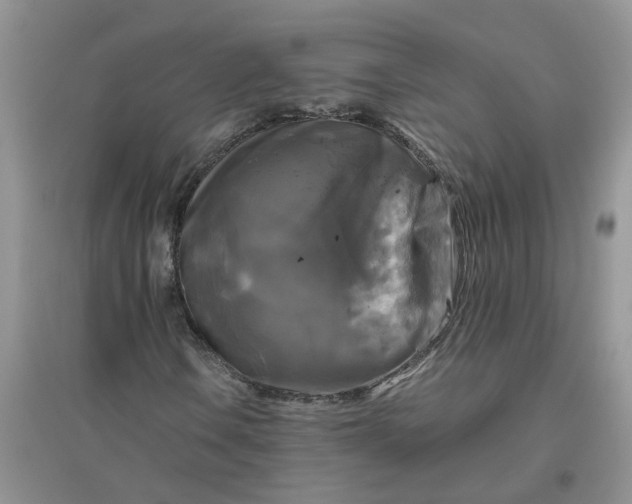 X0000096401106200802071554