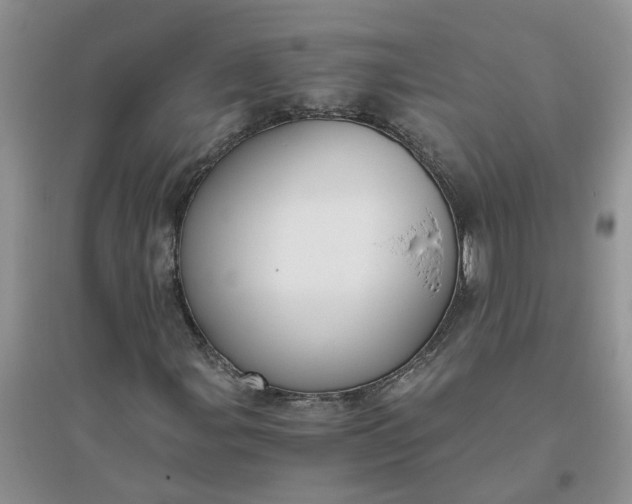 X0000096401107200802071554