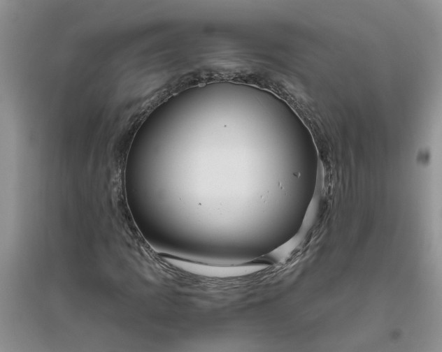 X0000096401109200802071554