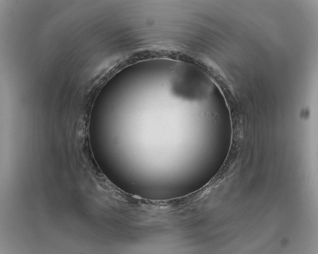 X0000096401110200802071554