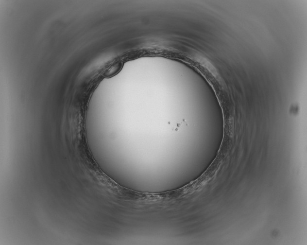 X0000096401111200802071554