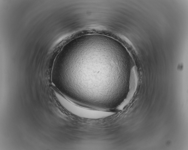 X0000096401112200802071554