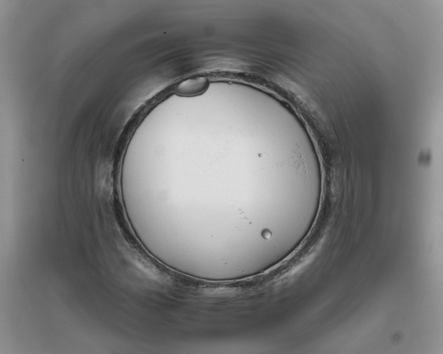 X0000096401113200802071554