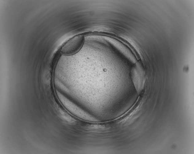 X0000096401115200802071554