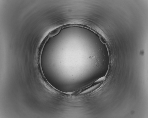 X0000096401116200802071554