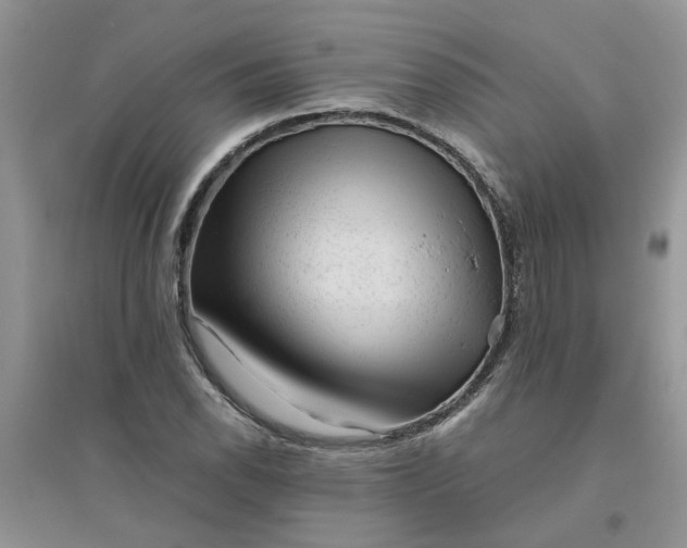 X0000096401118200802071554