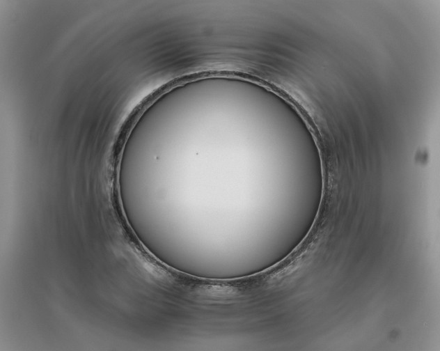 X0000096401119200802071554