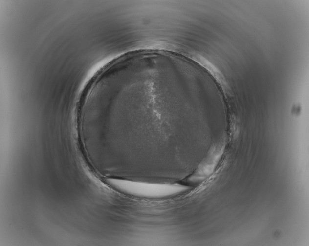 X0000096401120200802071554