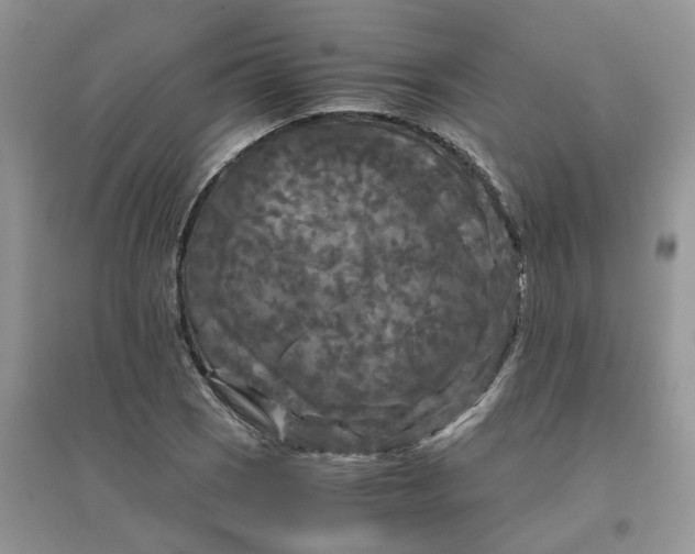 X0000096401121200802071554