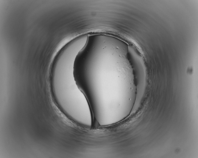 X0000096401122200802071554