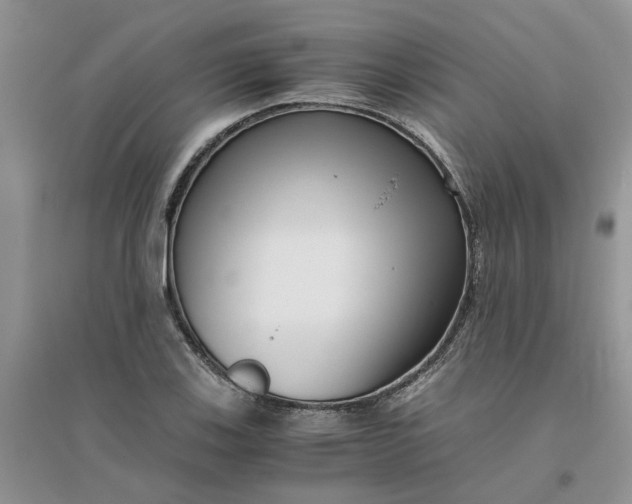 X0000096401123200802071554