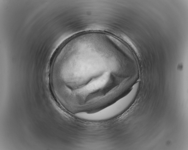 X0000096401124200802071554