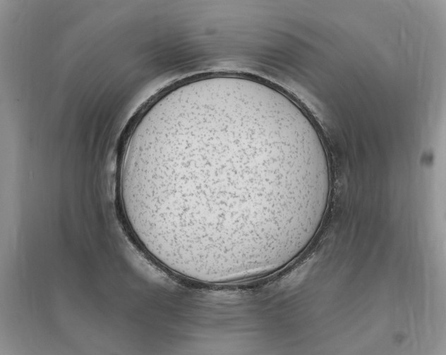 X0000096401126200802071554