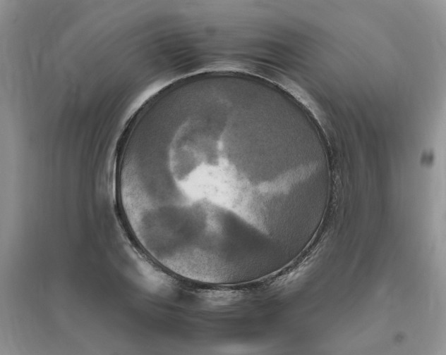 X0000096401127200802071554