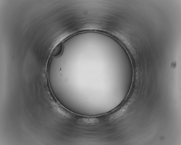 X0000096401129200802071554