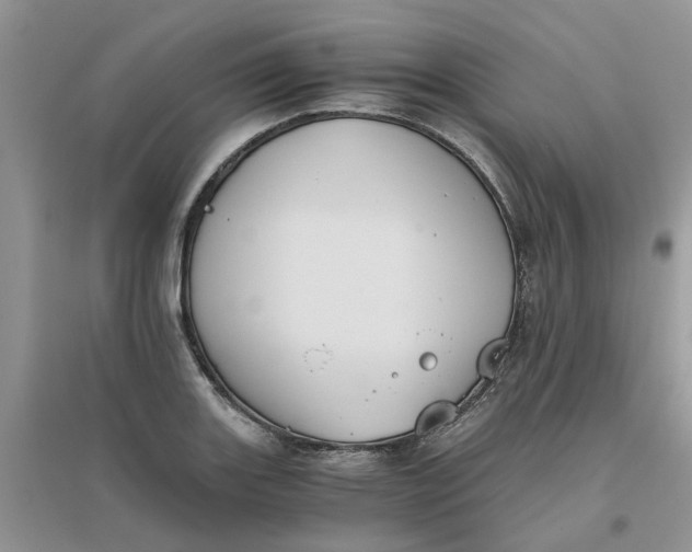 X0000096401131200802071555