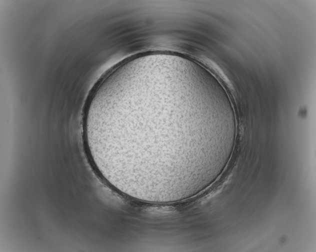 X0000096401133200802071555