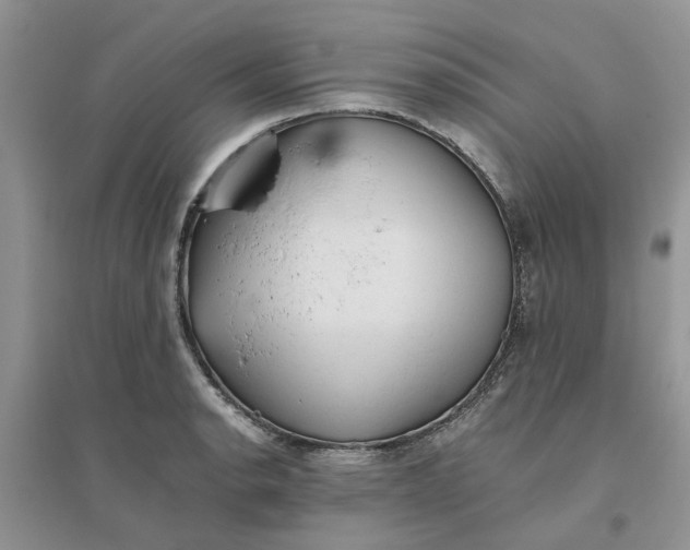 X0000096401134200802071555