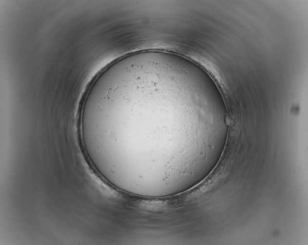 X0000096401135200802071555