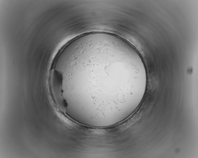 X0000096401136200802071555