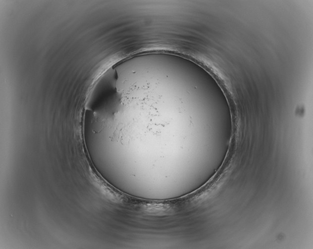 X0000096401137200802071555