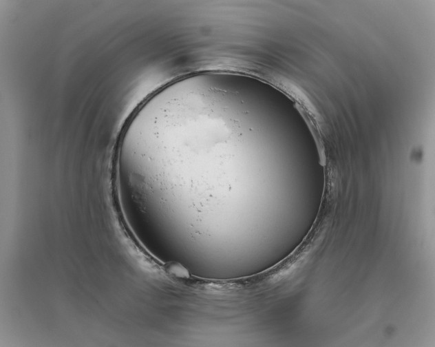 X0000096401138200802071555