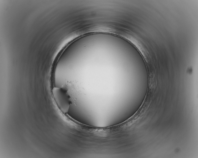 X0000096401139200802071555