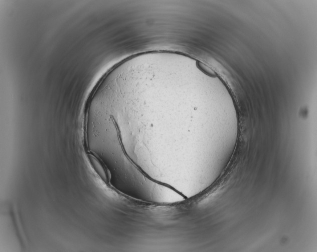 X0000096401140200802071555