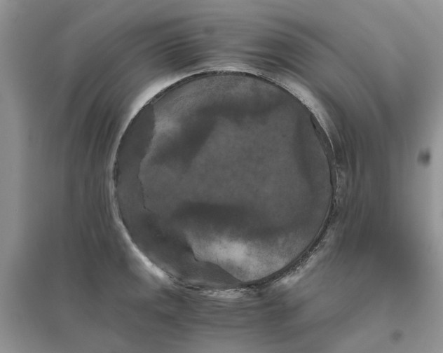 X0000096401141200802071555