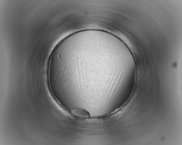 X0000096401142200802071555