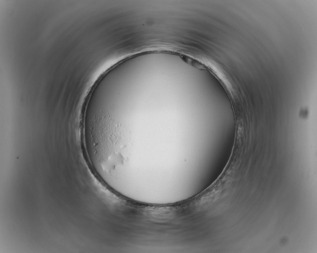 X0000096401143200802071555