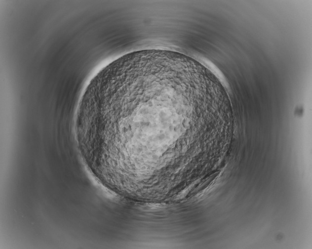 X0000096401144200802071555