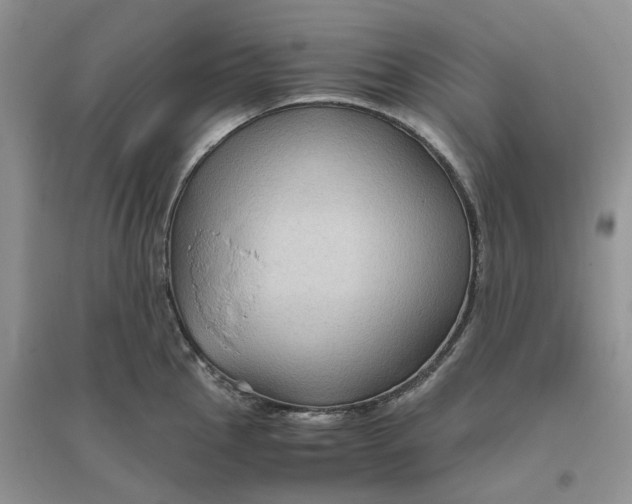 X0000096401145200802071555